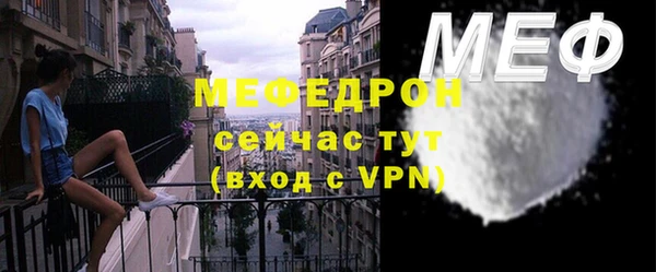 прущие грибы Богданович