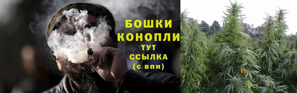 прущие грибы Богданович