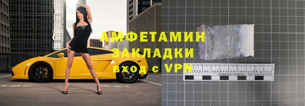 прущие грибы Богданович