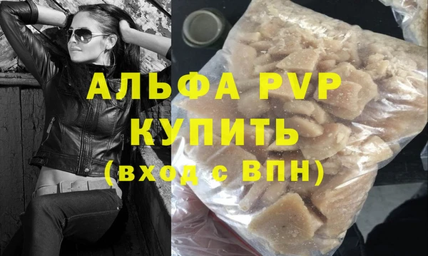прущие грибы Богданович