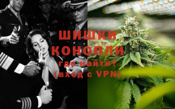 прущие грибы Богданович