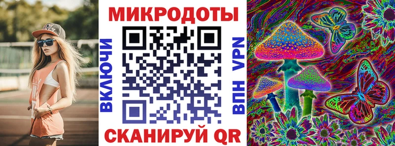 Псилоцибиновые грибы Cubensis  Верхний Тагил 